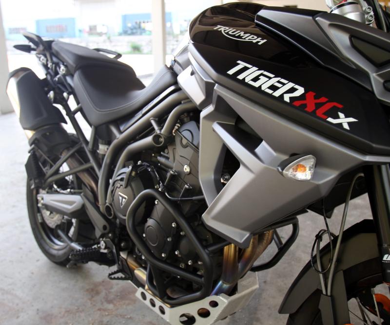 Triumph (4)
