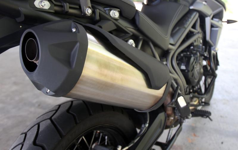 Triumph (7)