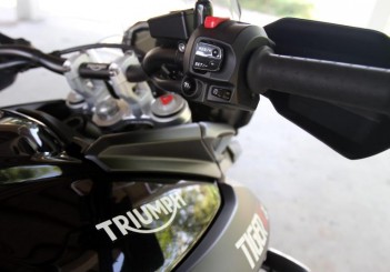 Triumph (9)