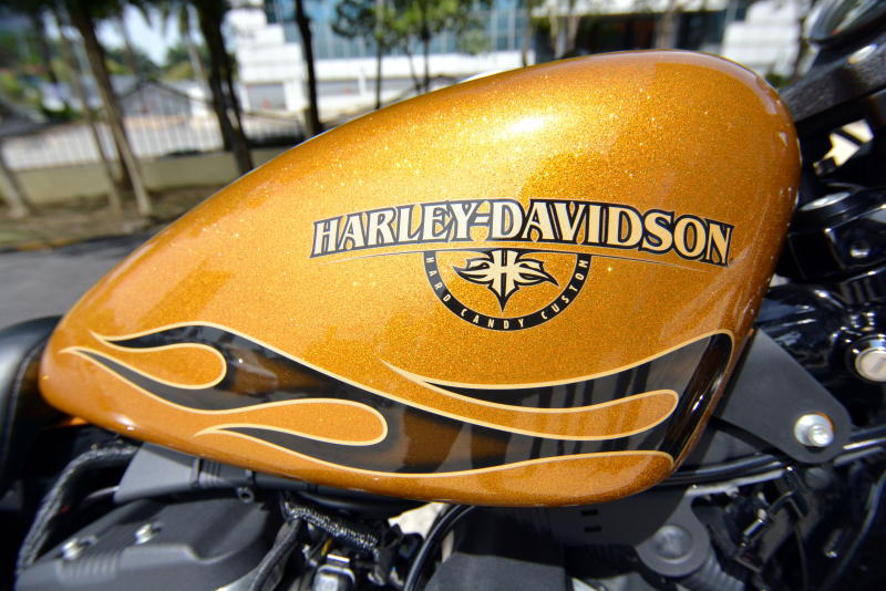 Harley-Davidson Iron 883 - 08