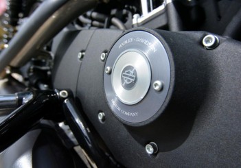 Harley-Davidson Iron 883 - 15