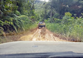 Mitsubishi Triton Borneo Safari (2016) - 11