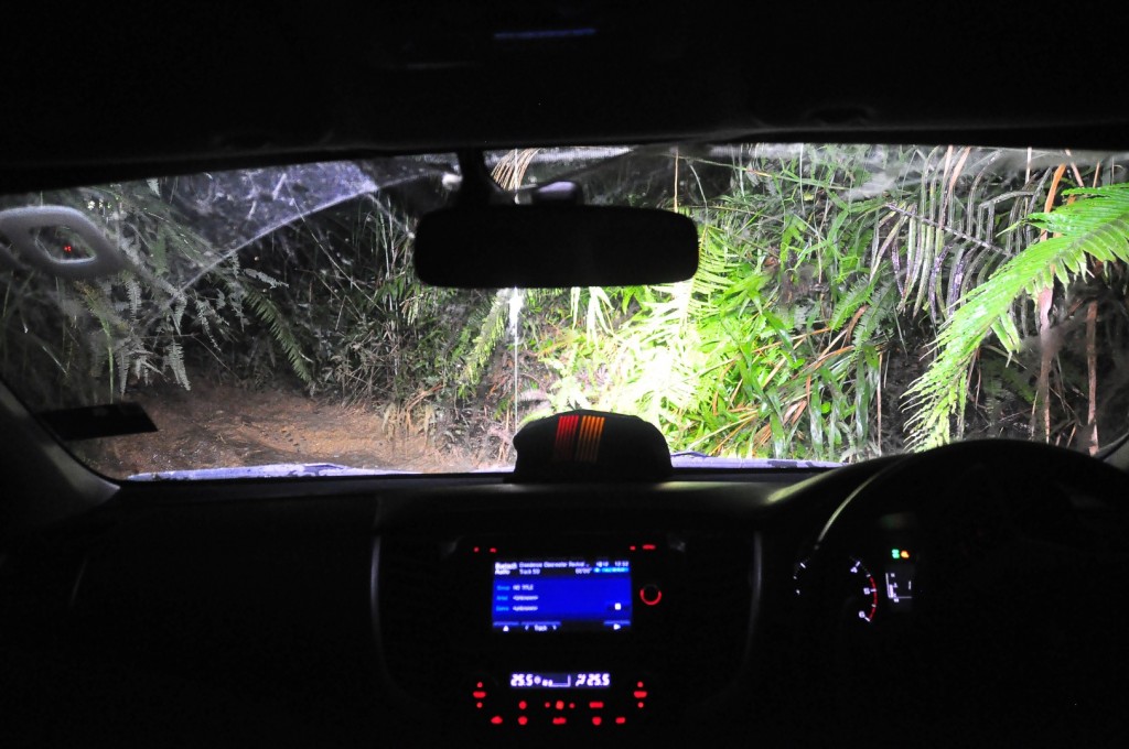 Mitsubishi Triton Borneo Safari (2016) - 92