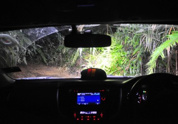 Mitsubishi Triton Borneo Safari (2016) - 92