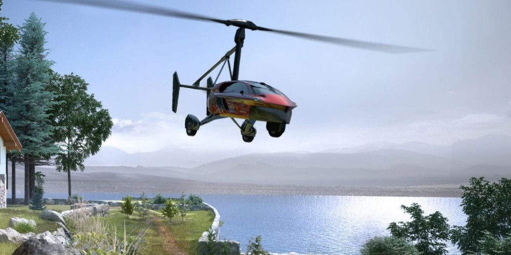 pal1